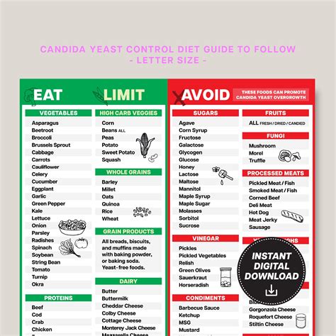 Gut Health Diet Guide Candida & Yeast Cleanse | Sugar Free Anti