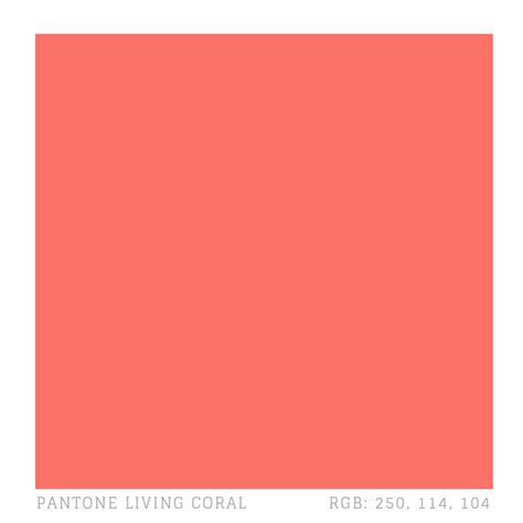 The Pantone Living Coral Color Is Shown In This Graphic Style It S