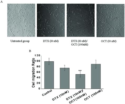 Effects Of DTX OCT Alone And Two Drug Combination On DU145 Cells