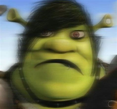 Shrek Aesthetic Pfp Shrek Diddy News Aesthetic