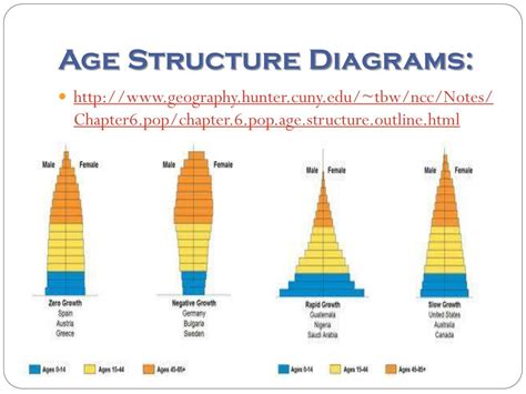 Age Structure Diagram Types