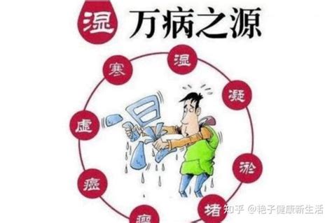 想要祛除体内湿气，巧用生活中的“两米”，湿气哗哗排，有益脾胃 知乎