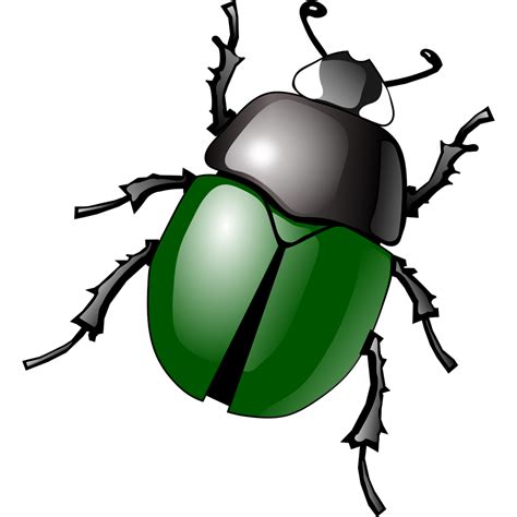 Dung Beetle Png Images Transparent Hd Photo Clipart