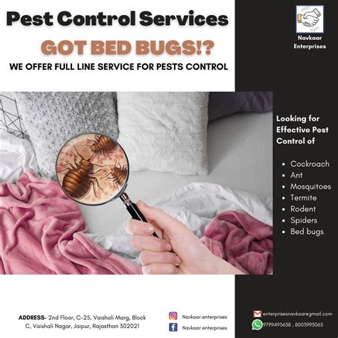 Bed Bug Pest Control Services At Rs Square Feet Bed Bugs Control