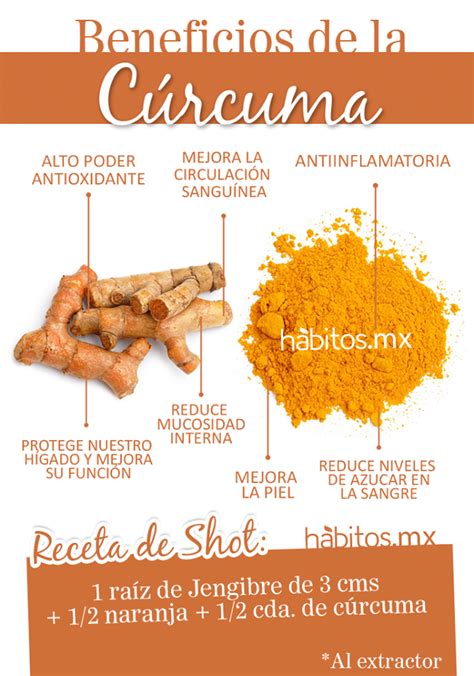 La cúrcuma y sus beneficios para tu salud Salus