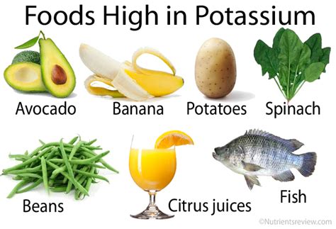 Potassium Food Chart