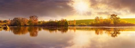 Premium Photo Autumn Landscape With Trees By The River And