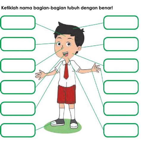 Menggambar Anggota Tubuh Tema Diri Sendiri Menggambar Simple Nbkomputer