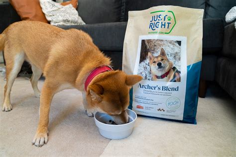 Just Right Pet Food: Subscription for Personalized Dog Food