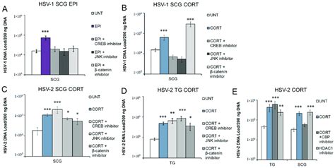 Inhibition Of Transcription Factors And Protein Kinases Differentially