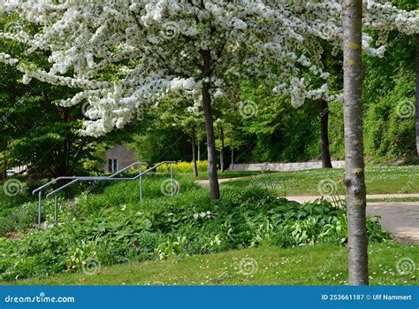 Old Botanical Garden In Kiel The Capital City Of Schleswig Holstein