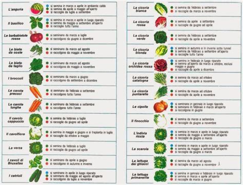 Calendario Semina Degli Ortaggi Tecniche E Consigli