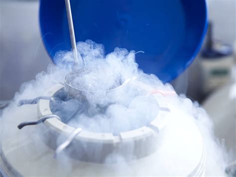 Are Your Frozen Ivf Embryos Alive After They Have Been Thawed The