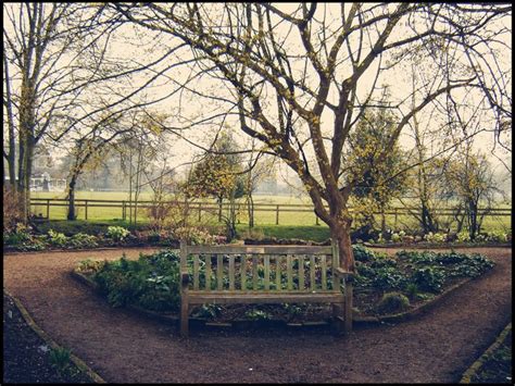 Will And Lyra S Bench In Oxford Botanic Garden