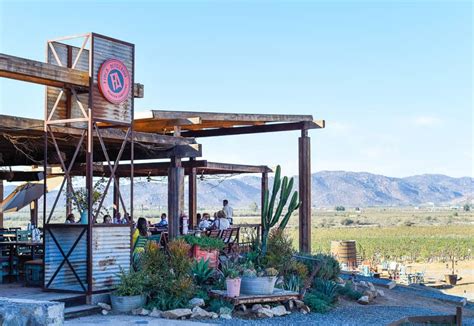 Guadalupe Valley, Mexico / 24 Hours in Baja's Wine Country