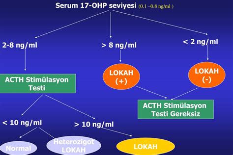 PPT Jinekolojik Endokrinolojide Hormonal Değerlendirme PowerPoint