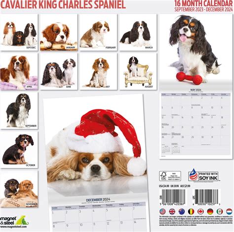 Cavalier King Charles Spaniel Kalender Modern Bol