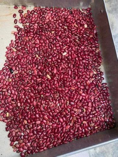 Organic Red Rajma High In Protein Loose At Rs 98 Kg In Rajkot ID