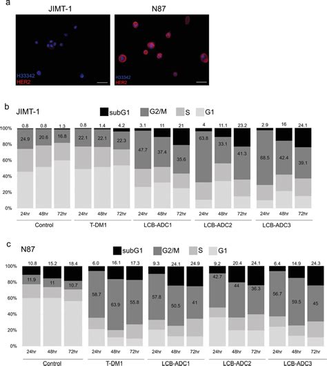 HER2 Expression And Cell Cycle Distribution In JIMT1 And N87 Cells A