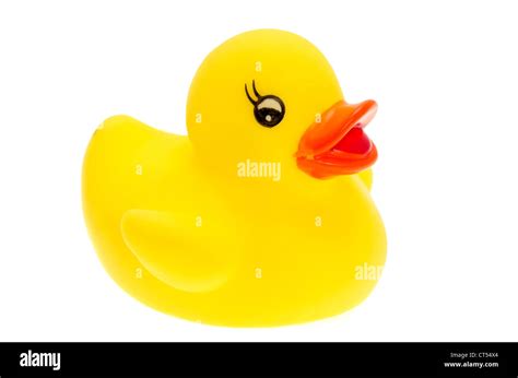 Close Up On A Yellow Rubber Duck Studio Shot With A White Background