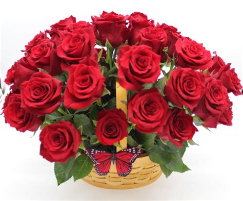 Basket with red roses