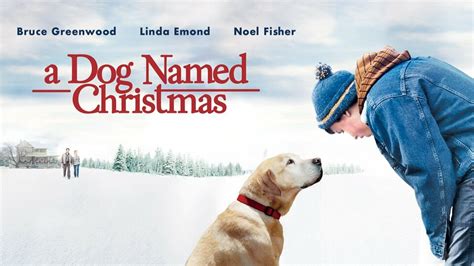 A Dog Named Christmas - Hallmark Channel Movie - Where To Watch