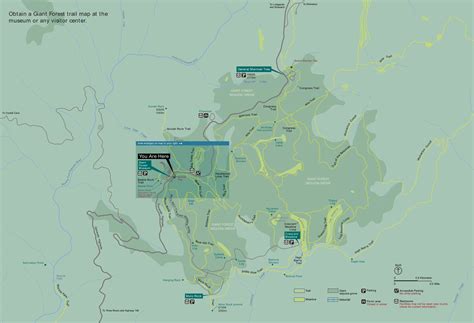 File:NPS sequoia-giant-forest-map.gif - Wikimedia Commons