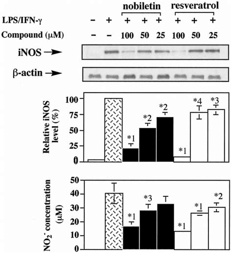 Inhibitory Effects Of Nobiletin And Resveratrol On LPS IFN Induced NO