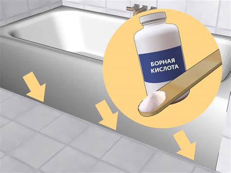 Как избавиться от чешуйницы – как бороться с чешуйницей