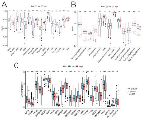 Cancers Free Full Text Construction Of A Prognostic And Early