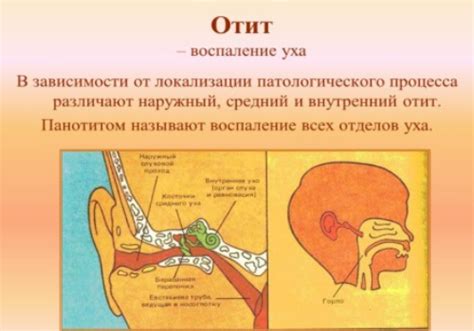 Продуло ухо: Причины, симптомы, лечение