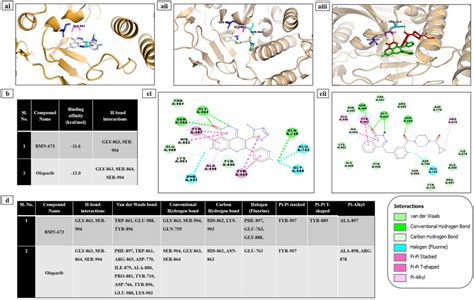 In Silico Molecular Docking Studies Measure The Binding Affinity Of