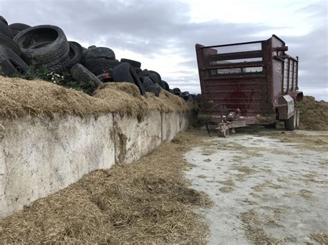 Cost Reduction On Farm Leanfarm