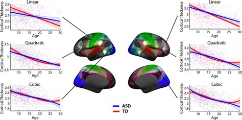 Developmental Trajectories Of Cortical Thickness Ct For The Brain