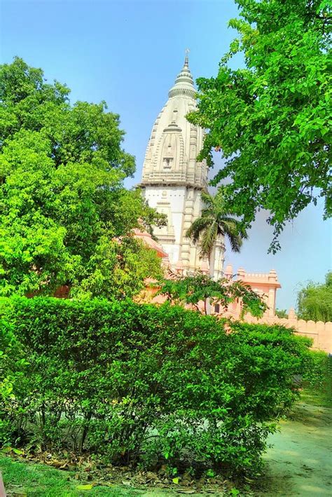 Vishwanath Temple Through The Trees With Blue Sky In Banaras India