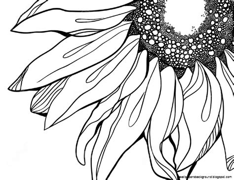 Easy Sunflower Clipart Black And White - Kagutaba