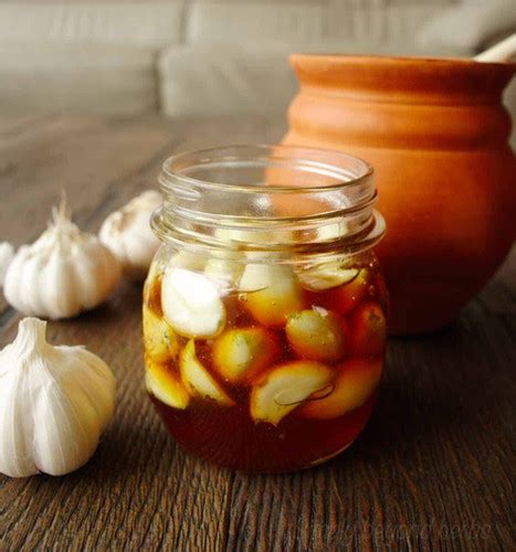 Honey And Garlic Ferment Willowbrook Farm