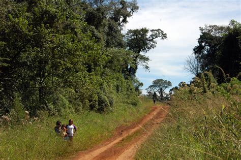 “huella Guaraní” El Sendero Étnico Salvaje De La Provincia De Misiones