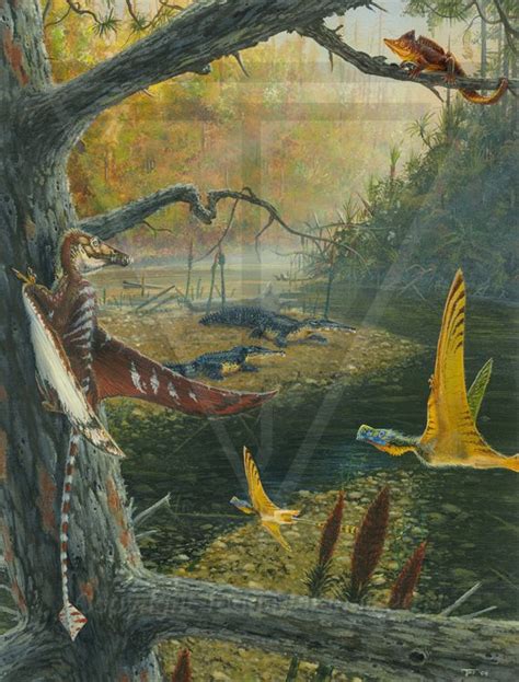 Upper Triassic Southern Europe Pterosaurs Eudimorphodon