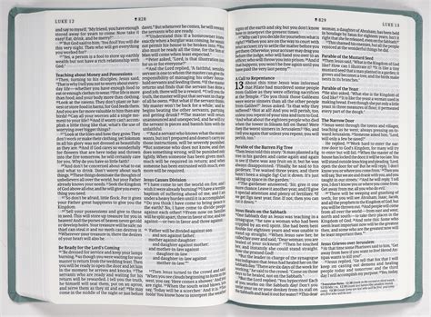 Nlt Large Print Premium Value Thinline Bible Filament Enabled Edition