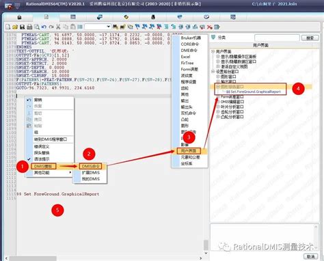 Rationaldmis 2020 图形报告自动保存为pdf控制 仿真秀干货文章