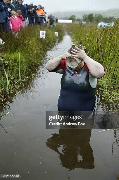 27 Irish Bog Snorkeling Championships Stock Photos High Res Pictures