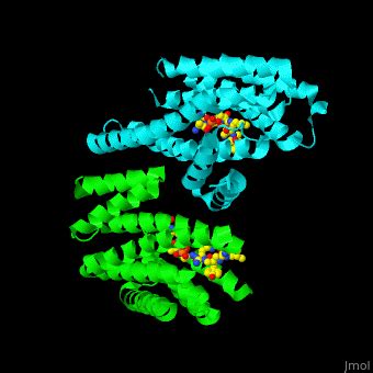 Protein Proteopedia Life In D