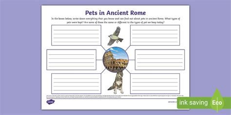 Pets In Ancient Rome Mind Map Lehrer Gemacht Twinkl