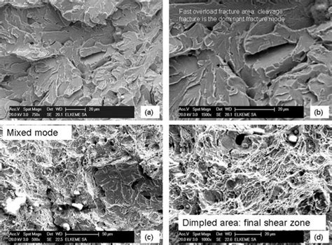 Sem Micrographs Se Imaging Showing The Microstructure Of Final Download Scientific Diagram