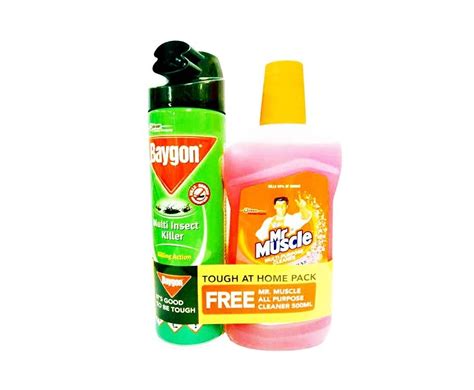 Baygon Multi Insect Killer Killing Action 500ml Free Mr Muscle Multi