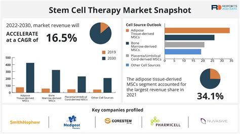 Stem Cell Therapy Market Size Share Growth And Forecast By