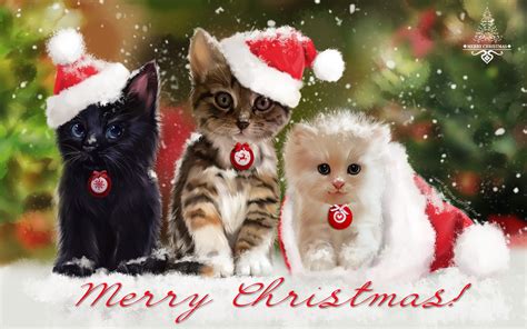 Cats Painting Art Christmas Three 3 Winter Hat Kittens Hd Wallpaper Rare Gallery