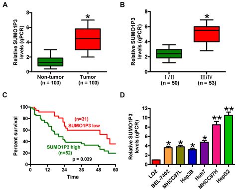 LncRNA SUMO1P3 Acts As A Prognostic Biomarker And Promotes