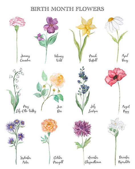 Birth Flower Chart By Month Buy Wholesale Th